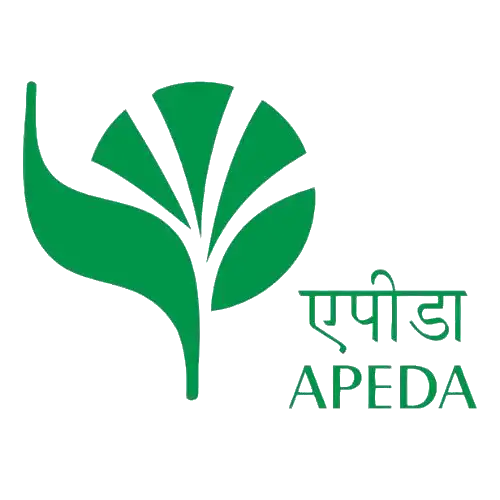 City for the Sustainable Transport Award?